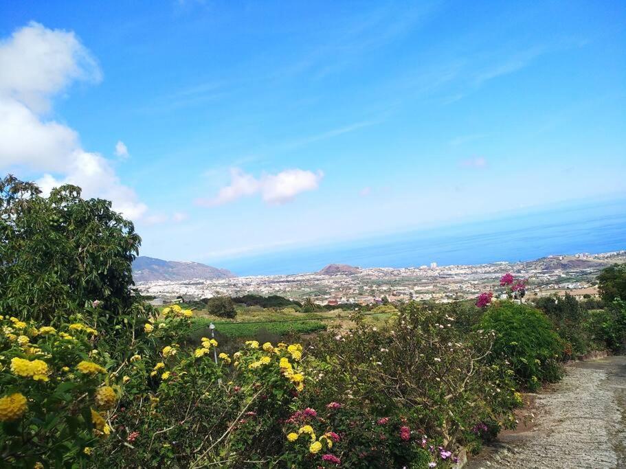 Apartment With Huge Deck Nestled In Marvelous Gardens - Nidos La Orotava Eksteriør billede