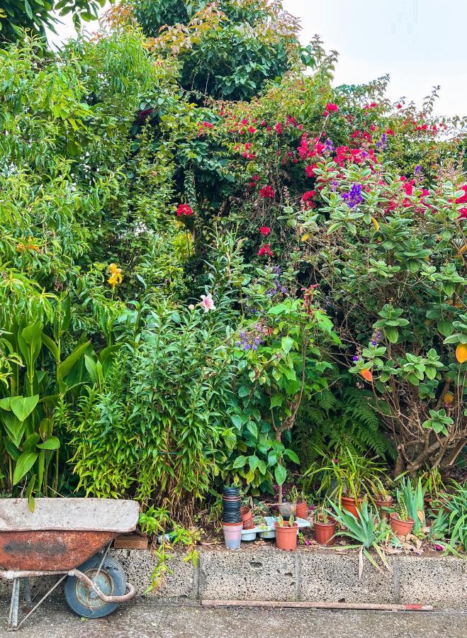 Apartment With Huge Deck Nestled In Marvelous Gardens - Nidos La Orotava Eksteriør billede