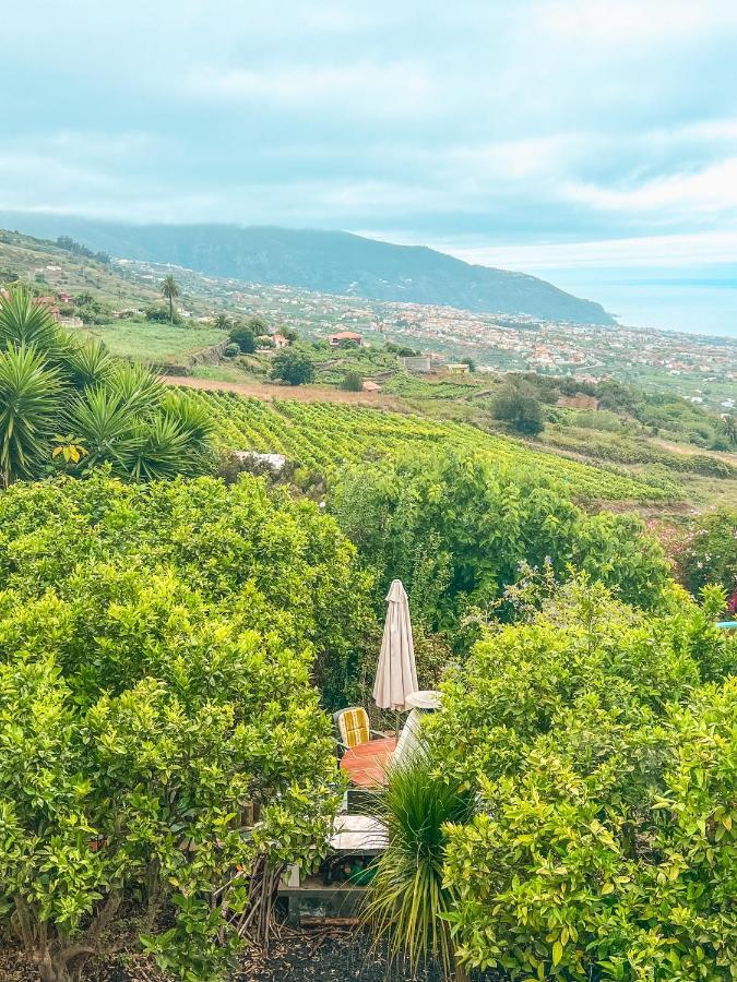 Apartment With Huge Deck Nestled In Marvelous Gardens - Nidos La Orotava Eksteriør billede