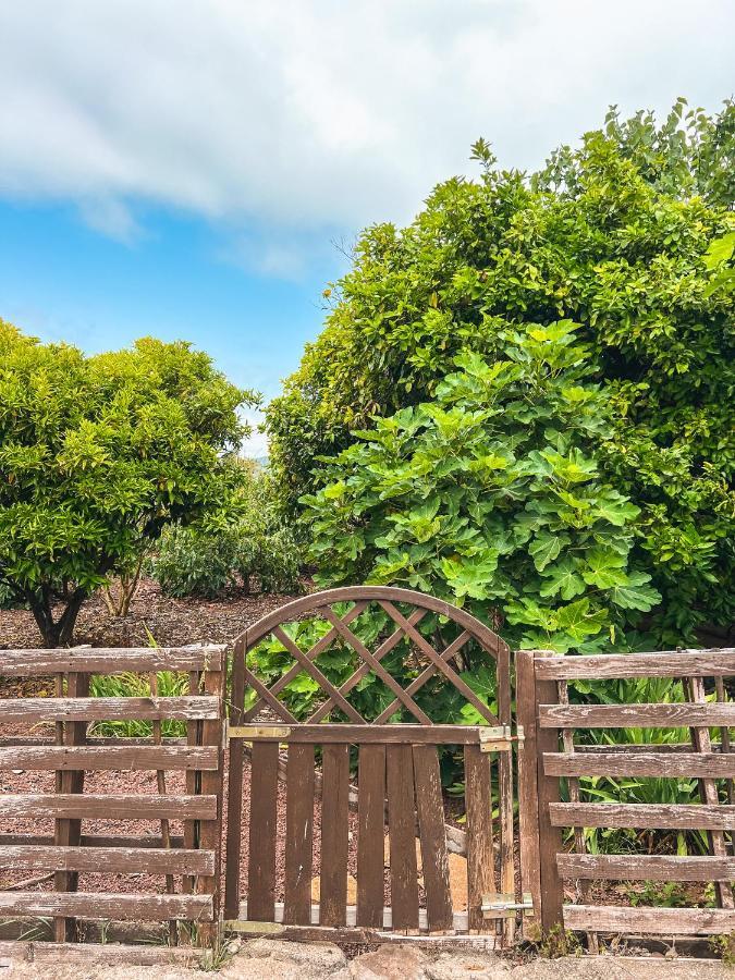 Apartment With Huge Deck Nestled In Marvelous Gardens - Nidos La Orotava Eksteriør billede
