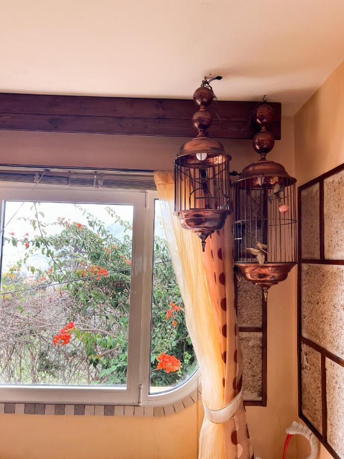 Apartment With Huge Deck Nestled In Marvelous Gardens - Nidos La Orotava Eksteriør billede